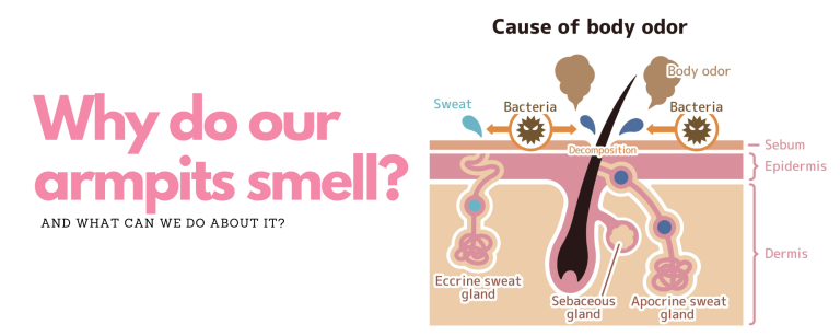Why do our armpits smell?