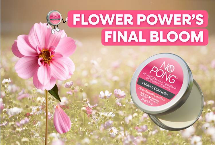 Flower Power’s Final Bloom